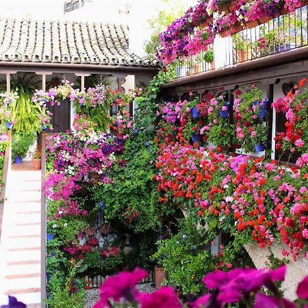 코르도바 Puerta A La Mezquita 아파트 외부 사진